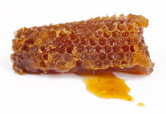 Why do bees make honey?