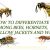 Bees-vs-Wasps-vs-Hornets-vs-Yellow-Jackets