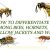 Bees-vs-Wasps-vs-Hornets-vs-Yellow-Jackets
