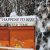 Bees In Winter - Do Bees Hibernate