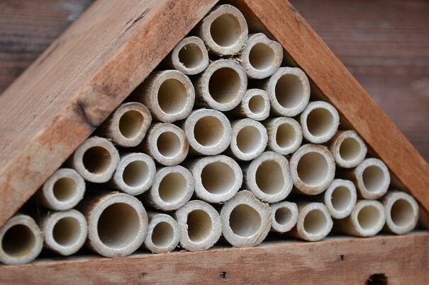 How to Make a DIY Leafcutter Bee House