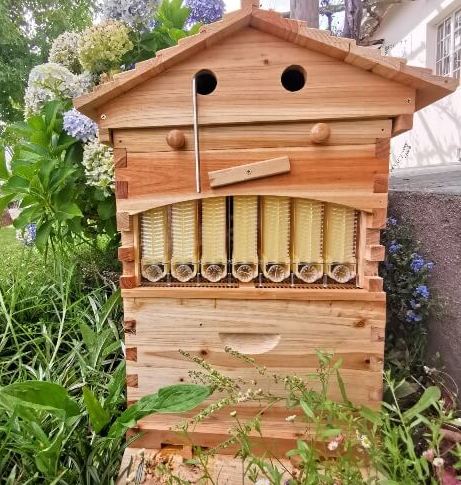 Advantages of flow beehives and guide Advantages of flow beehives and guide