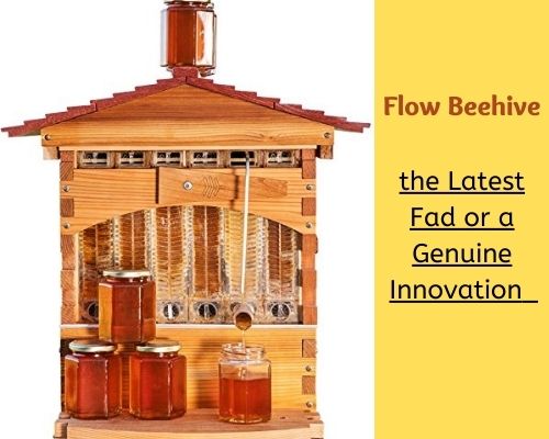 Flow beehive – how does it work