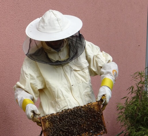 Bee Protective Gear - Beekeeping Suit