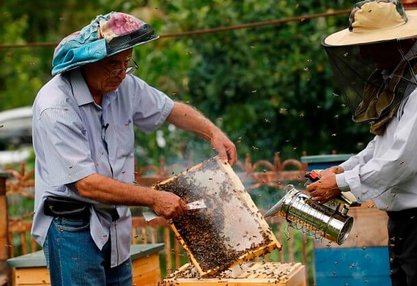 Dropper Honey Bee Swarm Attractant Lure Beekeeping Equip Hive Tools Useful 