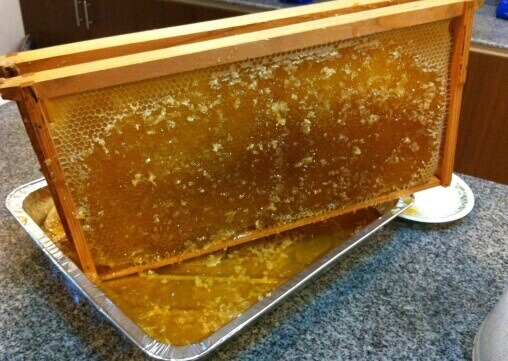 Drip Method Honey Extraction