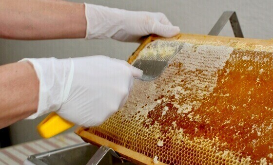 extract honey from comb with an extractor